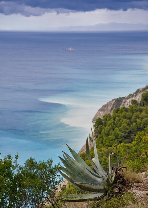 L’Incanto di Ponza: Tra Storia e Magia del Mare – The Enchantment of Ponza: Between History and the Magic of the Sea